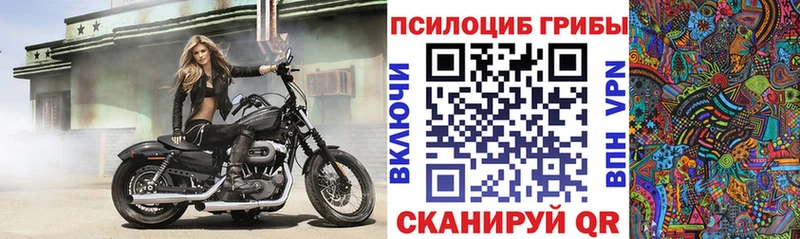 Псилоцибиновые грибы GOLDEN TEACHER Закаменск